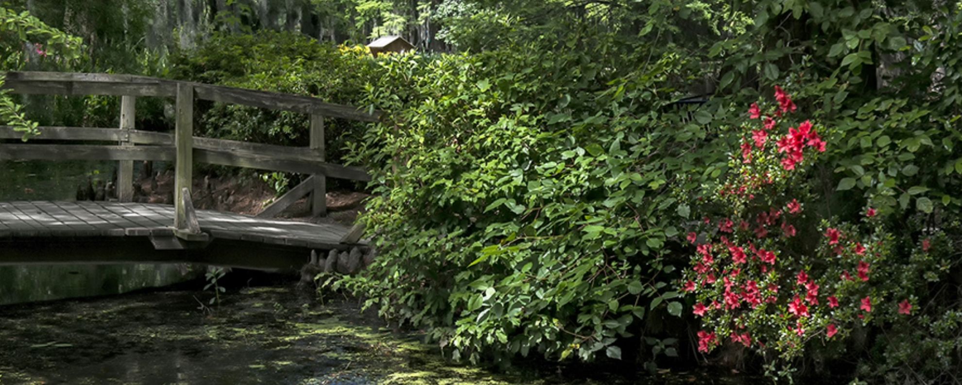 Bridge over water