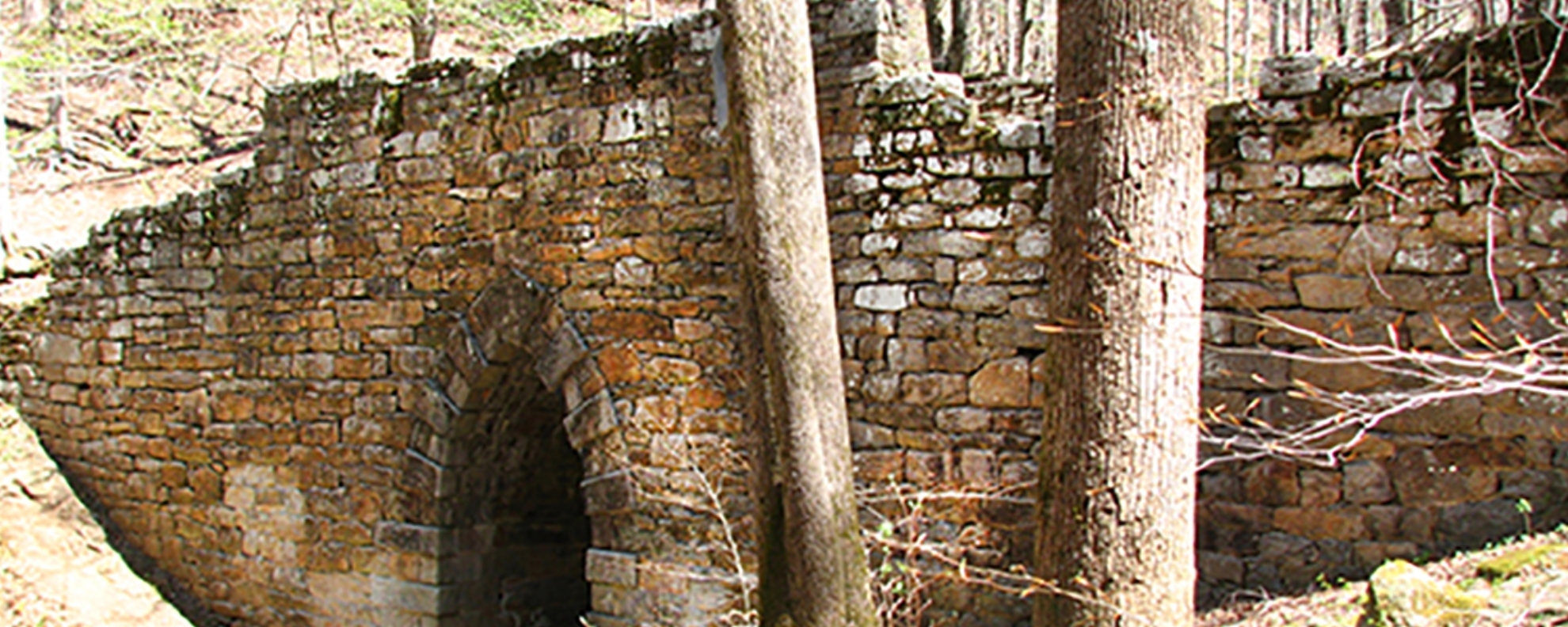 Old Ruins in Forest